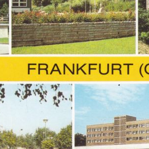 Ausschnitt zur Qualitätsprüfung vom Digitalen Bild Qualität