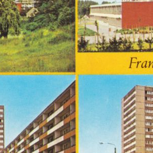 Ausschnitt zur Qualitätsprüfung vom Digitalen Bild Qualität