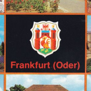 Ausschnitt zur Qualitätsprüfung vom Digitalen Bild Qualität