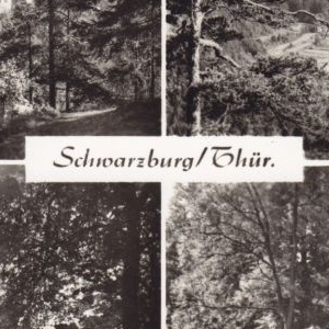 Qualität