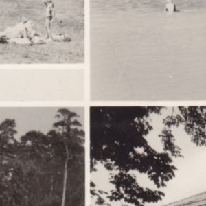 Ausschnitt zur Qualitätsprüfung vom Digitalen Bild Qualität