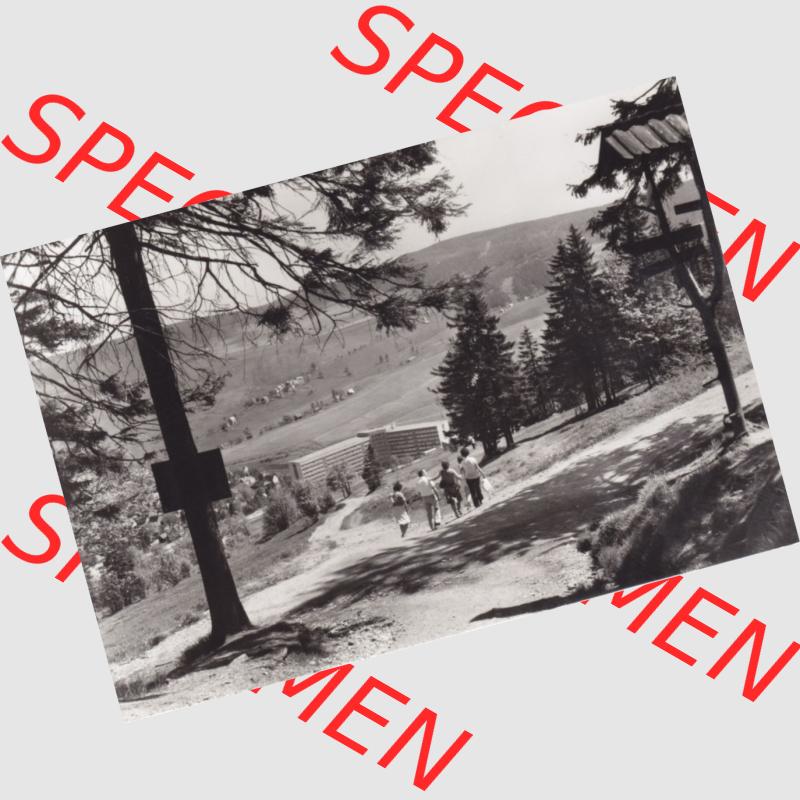 Sammlung