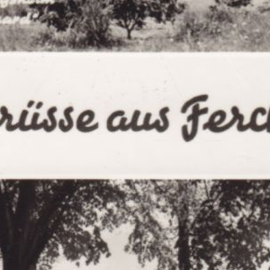 Ausschnitt zur Qualitätsprüfung vom Digitalen Bild Qualität