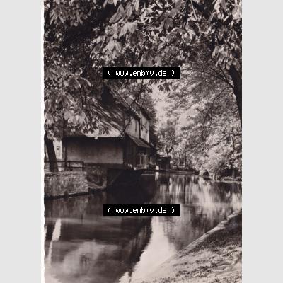 Ansichtskarte Bezirk Erfurt, Stadtkreis Erfurt, Stadt Erfurt Am Dämmchen. Ansichtskarte bzw. Postkarte aus DDR-Zeiten der Deutschen Demokratischen Republik von Bezirk Erfurt,... Sammlung