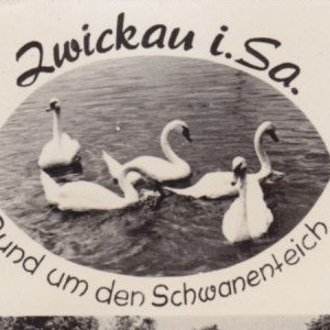 Ausschnitt zur Qualitätsprüfung vom Digitalen Bild Qualität