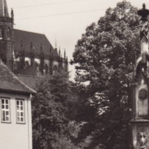 Ausschnitt zur Qualitätsprüfung vom Digitalen Bild Qualität
