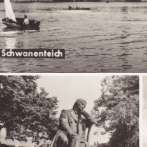 Ausschnitt zur Qualitätsprüfung vom Digitalen Bild Qualität
