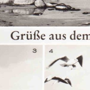 Ausschnitt zur Qualitätsprüfung vom Digitalen Bild Qualität