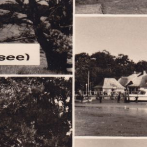 Ausschnitt zur Qualitätsprüfung vom Digitalen Bild Qualität