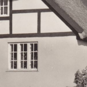 Ausschnitt zur Qualitätsprüfung vom Digitalen Bild Qualität