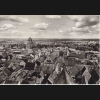 Digitales Bild Zurück