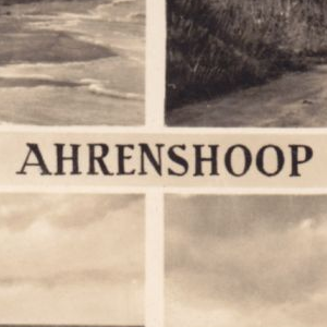 Ausschnitt zur Qualitätsprüfung vom Digitalen Bild Qualität