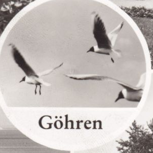 Ausschnitt zur Qualitätsprüfung vom Digitalen Bild Qualität