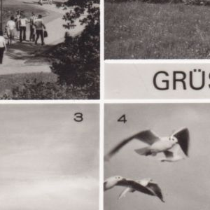 Ausschnitt zur Qualitätsprüfung vom Digitalen Bild Qualität