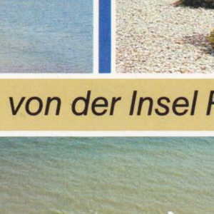 Ausschnitt zur Qualitätsprüfung vom Digitalen Bild Qualität