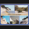 Digitales Bild Zurück