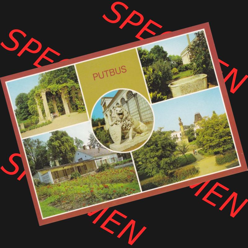 Ansichtskarte DDR Bezirk Rostock Putbus (Rügen), Pergola im Park, Lauterbach, Rosengarten, Löwenstandbild. Ansichtskarte bzw. Postkarte in Farbe... Sammlung