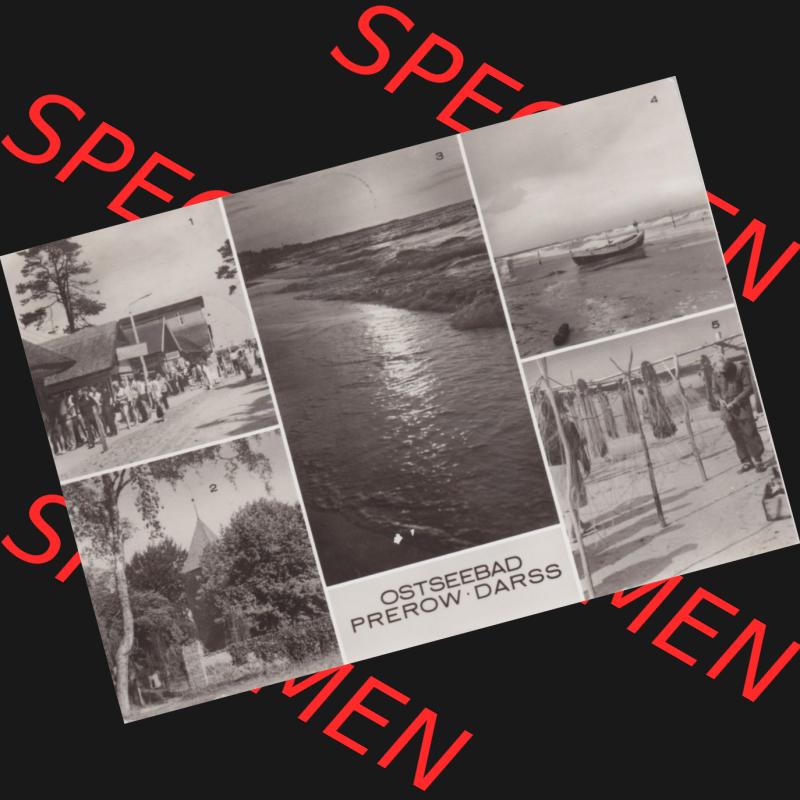 Ansichtskarte DDR Bezirk Rostock, Kreis Ribnitz-Damgarten Ostseebad Prerow Bildpostkarte in s/w - schwarzweiß 1969, Gruß aus Prerow, Mehrbildkarte. Ansichtskarte... Sammlung