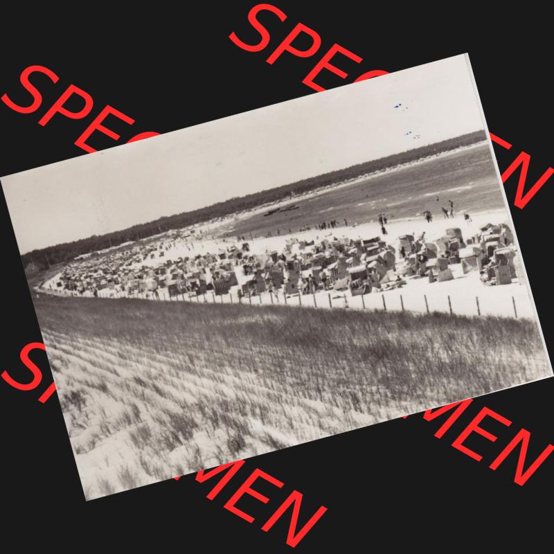 Ansichtskarte DDR Bezirk Rostock, Kreis Ribnitz-Damgarten Ostseebad Prerow Bildpostkarte in s/w - schwarzweiß Prerow am Strand . Ansichtskarte bzw. Postkarte in s/w -... Sammlung
