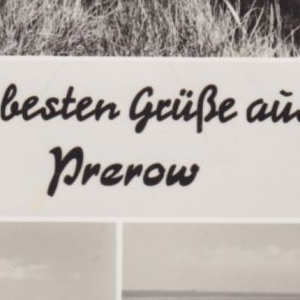 Ausschnitt zur Qualitätsprüfung vom Digitalen Bild Qualität