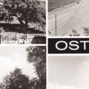 Ausschnitt zur Qualitätsprüfung vom Digitalen Bild Qualität