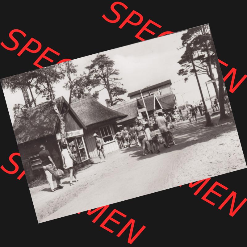 Ansichtskarte DDR Bezirk Rostock, Kreis Ribnitz-Damgarten Ostseebad Prerow Bildpostkarte in s/w - schwarzweiß Weg zum Strand in Prerow. Ansichtskarte bzw. Postkarte in s/w... Sammlung