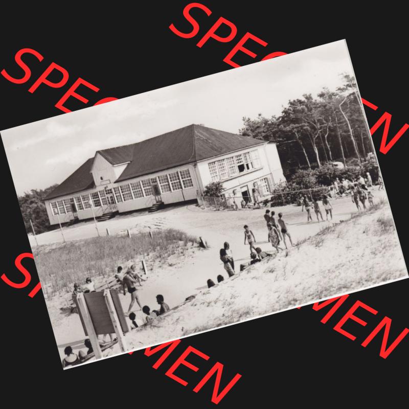Ansichtskarte DDR Bezirk Rostock, Kreis Ribnitz-Damgarten Ostseebad Prerow Bildpostkarte in s/w - schwarzweiß Ostseebad Prerow Darß, HO Dünenhaus. Ansichtskarte... Sammlung