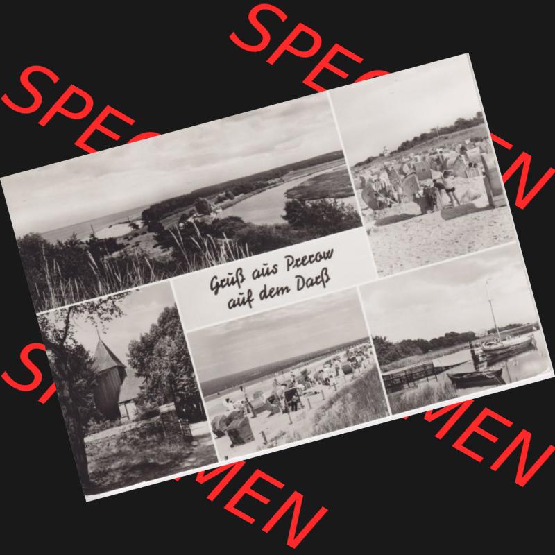 Ansichtskarte DDR Bezirk Rostock, Kreis Ribnitz-Damgarten Ostseebad Prerow Bildpostkarte in s/w - schwarzweiß Gruss vom Ostsseebad Prerow auf dem Darß. Ansichtskarte bzw.... Sammlung