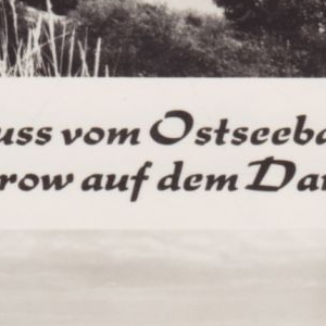 Ausschnitt zur Qualitätsprüfung vom Digitalen Bild Qualität