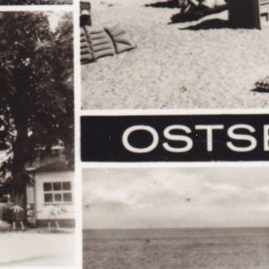 Qualität