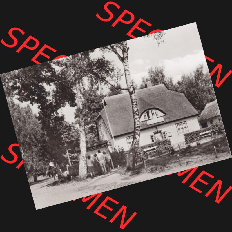 Ansichtskarte DDR Bezirk Rostock, Kreis Ribnitz-Damgarten Ostseebad Prerow Bildpostkarte in s/w - schwarzweiß Rat der Gemeinde im Ostseebad Prerow-Darß. Ansichtskarte bzw.... Sammlung