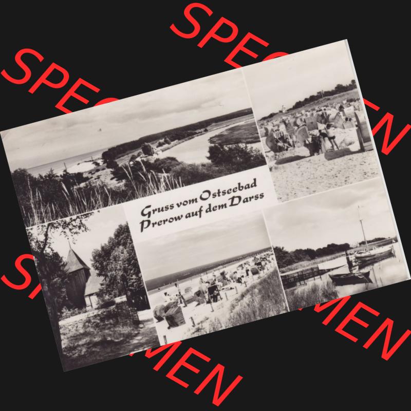 Ansichtskarte DDR Bezirk Rostock, Kreis Ribnitz-Damgarten Ostseebad Prerow Bildpostkarte in s/w - schwarzweiß Gruss vom Ostseebad Prerow auf dem Darss. Ansichtskarte bzw.... Sammlung