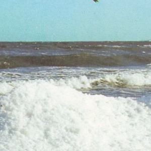 Ausschnitt zur Qualitätsprüfung vom Digitalen Bild Qualität