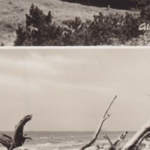Ausschnitt zur Qualitätsprüfung vom Digitalen Bild Qualität