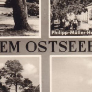 Ausschnitt zur Qualitätsprüfung vom Digitalen Bild Qualität