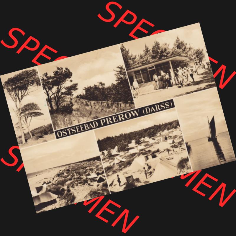 Ansichtskarte DDR Bezirk Rostock, Kreis Ribnitz-Damgarten Ostseebad Prerow Bildpostkarte in s/w - schwarzweiß Ostseebad Prerow Darss. Ansichtskarte bzw. Postkarte in s/w... Sammlung