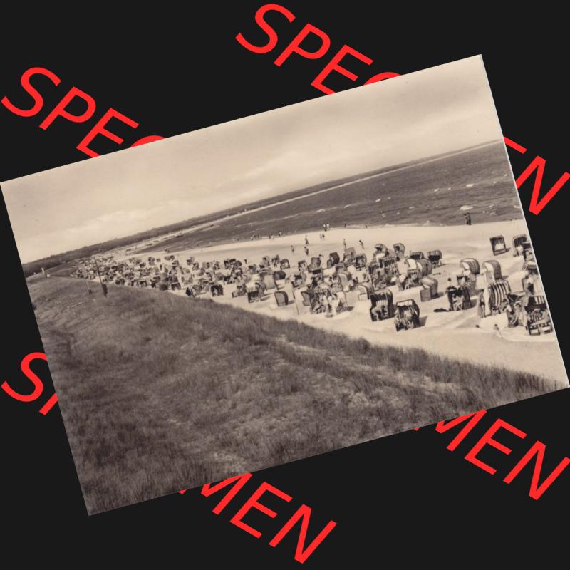 Ansichtskarte DDR Bezirk Rostock, Kreis Ribnitz-Damgarten Ostseebad Prerow Bildpostkarte in s/w - schwarzweiß Strandkörbe am Strand. Ansichtskarte bzw. Postkarte in s/w... Sammlung