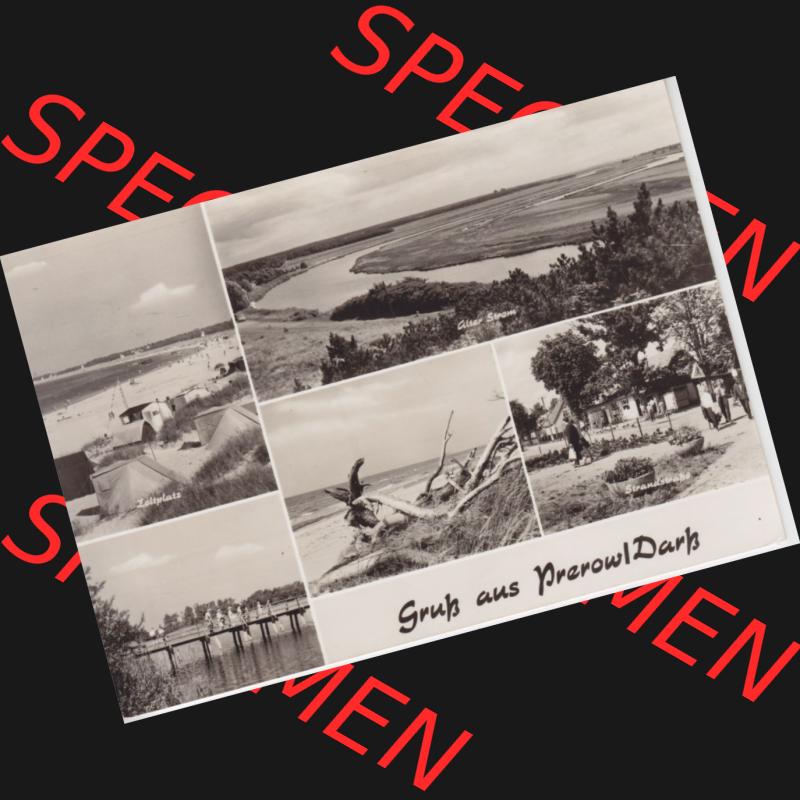 Ansichtskarte DDR Bezirk Rostock, Kreis Ribnitz-Damgarten Ostseebad Prerow Bildpostkarte in s/w - schwarzweiß Alter Strom, Zeltplatz, Strandstraße. Ansichtskarte... Sammlung