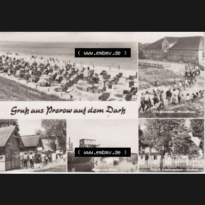 Ansichtskarte DDR Bezirk Rostock, Kreis Ribnitz-Damgarten Ostseebad Prerow Bildpostkarte in s/w - schwarzweiß 5er Mehrbildkarte Gruß aus Prerow. Ansichtskarte bzw. Postkarte... Sammlung