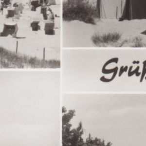 Ausschnitt zur Qualitätsprüfung vom Digitalen Bild Qualität