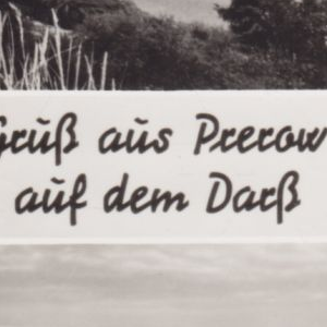 Ausschnitt zur Qualitätsprüfung vom Digitalen Bild Qualität
