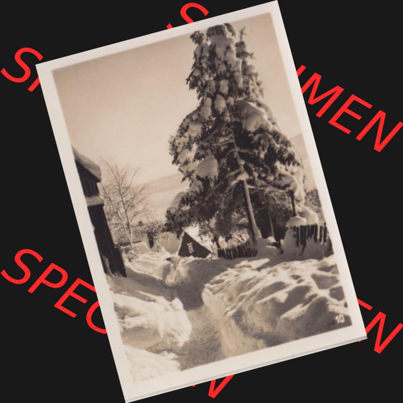 Fotos DDR, Bezirk Magdeburg, Kreis Wernigerode, Stadt Benneckenstein / Harz, Foto-Mappe mit 10 echte Photos 10. Winterzauber am Wildenberg. Fotos aus DDR-Zeiten... Sammlung