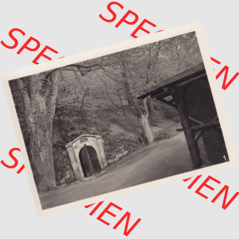 Echtes Foto der DDR Bezirk Suhl, Kreis Bad Salzungen, Stadt Bad Liebenstein, Foto-Mappe Altensteiner Höhle Thüringer Wald A 123 55, Nr. 1, Höhleneingang.... Sammlung