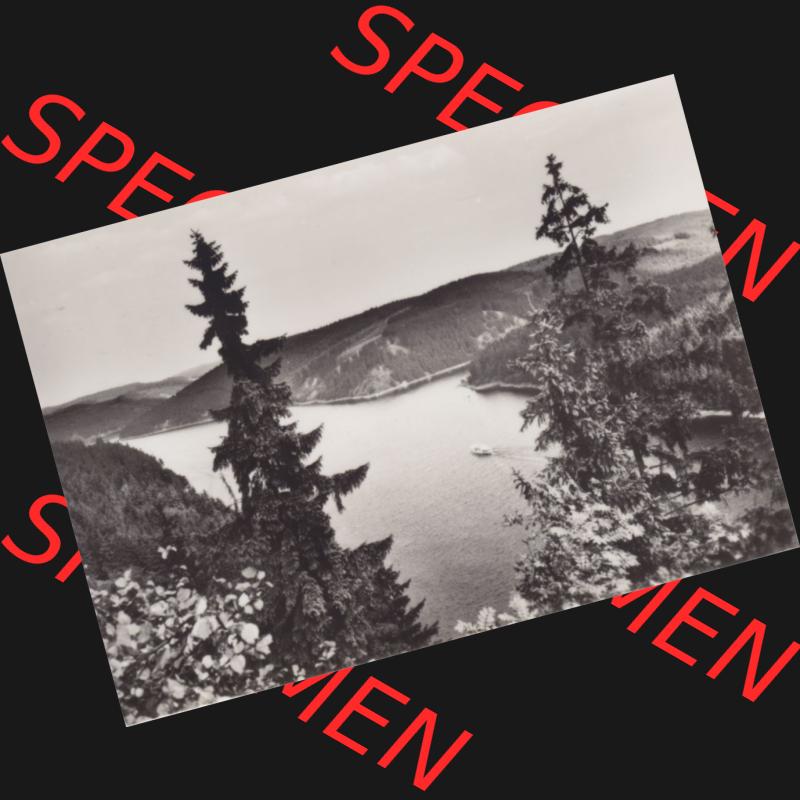Fotos DDR Bezirk Gera, Kreis Schleiz, Stadt Saalburg-Ebersdorf, Ortsteil Saalburg 1968, 10 Dick-Fotos vom Dick-Foto-Verlag Erlbach i. V., Foto-Mappe 3033 Saalburg... Sammlung