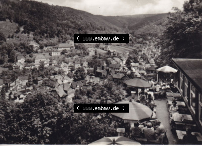 1968 Blick von der Hotel-Terrasse Schwarzaburg, DDR-Zeiten Bezirk Suhl Sammlung