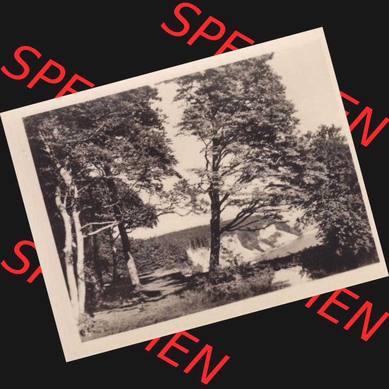 Fotos DDR Bezirk Rostock, Kreis Rügen, Insel Rügen Stubbenkammer, Foto-Mappe mit 10 Echte Fotos Blick zur Steilküste. DDR Bezirk Rostock, Kreis Rügen,... Sammlung