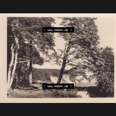 Fotos DDR Bezirk Rostock, Kreis Rügen, Insel Rügen Stubbenkammer, Foto-Mappe mit 10 Echte Fotos Blick zur Steilküste. DDR Bezirk Rostock, Kreis Rügen,... Sammlung