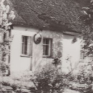 Ausschnitt zur Qualitätsprüfung vom Digitalen Bild Qualität
