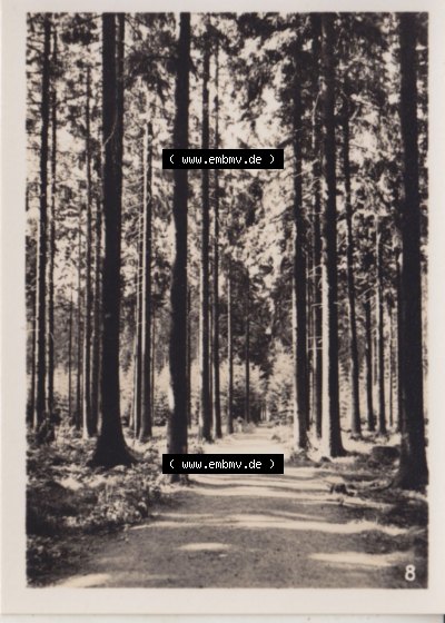 Fotos aus DDR-Zeiten, Bezirk Magdeburg der DDR Sammlung