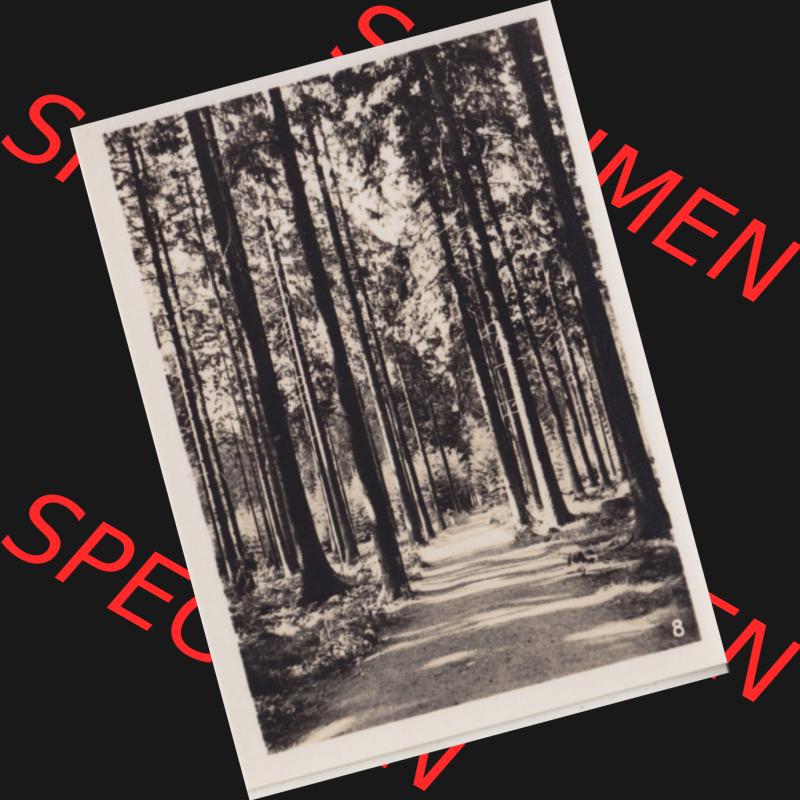 Fotos DDR, Bezirk Magdeburg, Kreis Wernigerode, Stadt Benneckenstein / Harz, Foto-Mappe mit 10 echte Photos 8. Die gute Stube. Fotos aus DDR-Zeiten Bezirk Magdeburg... Sammlung